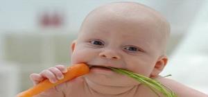 让宝宝爱上吃蔬菜 其实很简单